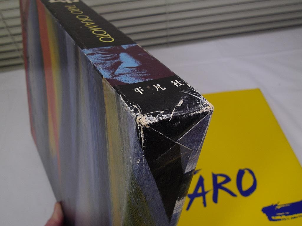 画集 1979年 岡本太郎 初版 平凡社 現代美術 大型本