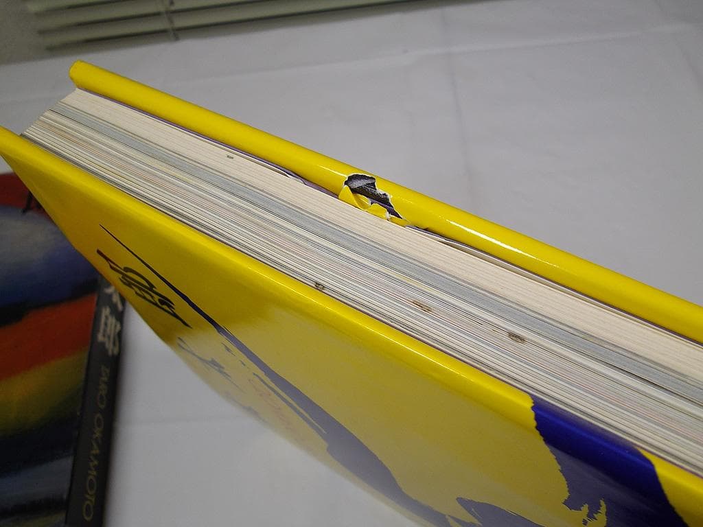 画集 1979年 岡本太郎 初版 平凡社 現代美術 大型本