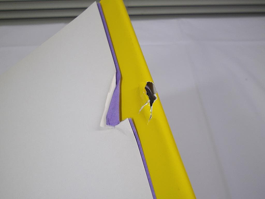 画集 1979年 岡本太郎 初版 平凡社 現代美術 大型本