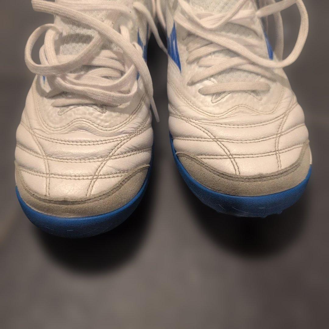 【今週末まで】モレリアネオsala β japan　TF 23cm