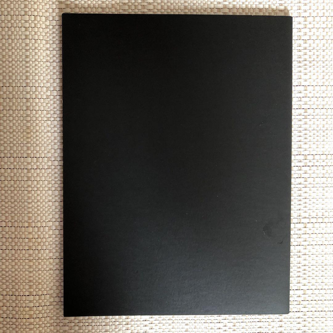 最終値下！Radiant Varmin MERCURY FUR パンフ 高橋一生