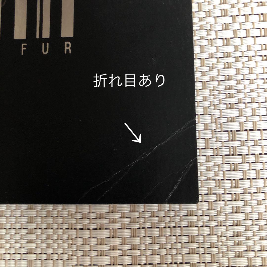 最終値下！Radiant Varmin MERCURY FUR パンフ 高橋一生