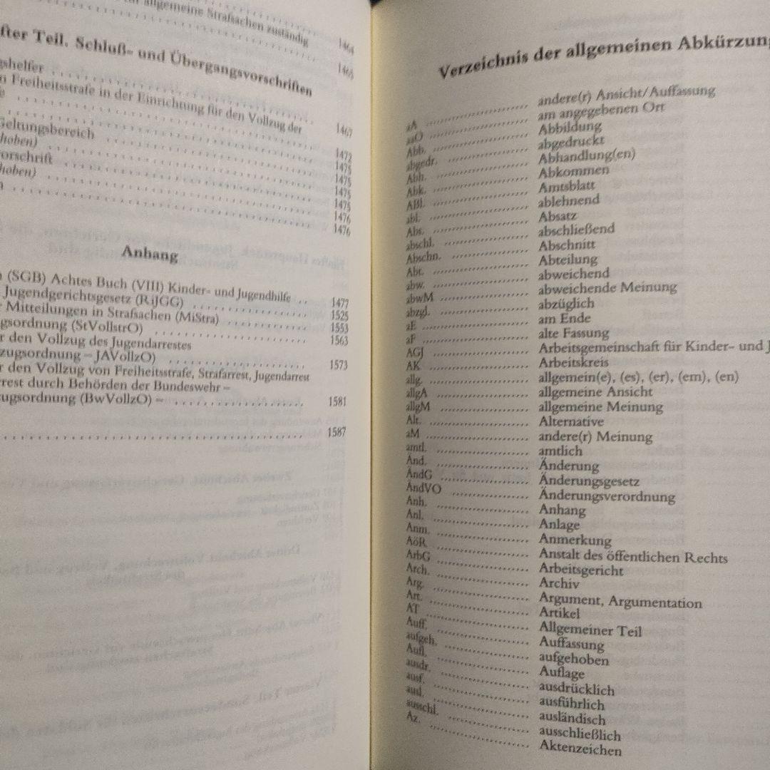 少年裁判所法　ドイツ語 Jugendgerichts-gesetz