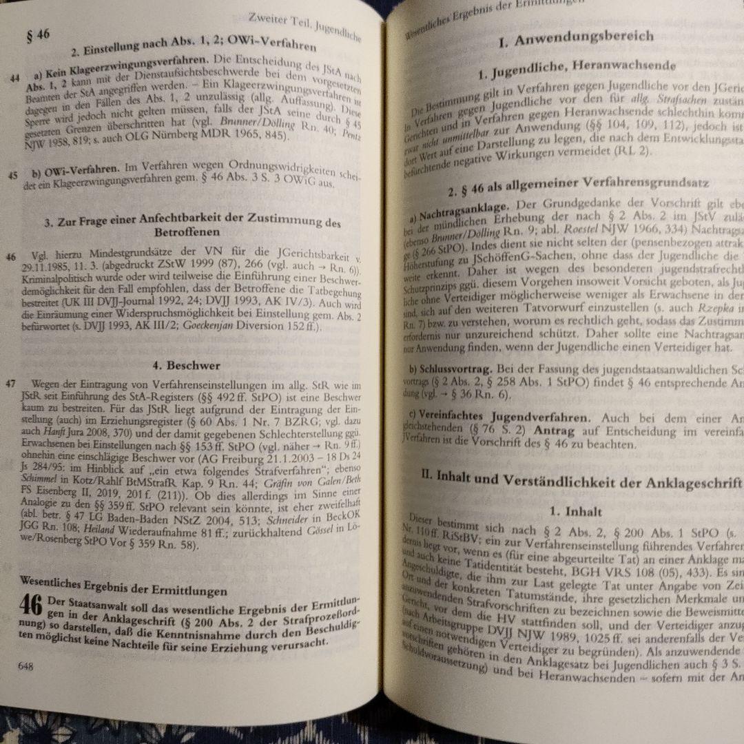 少年裁判所法　ドイツ語 Jugendgerichts-gesetz