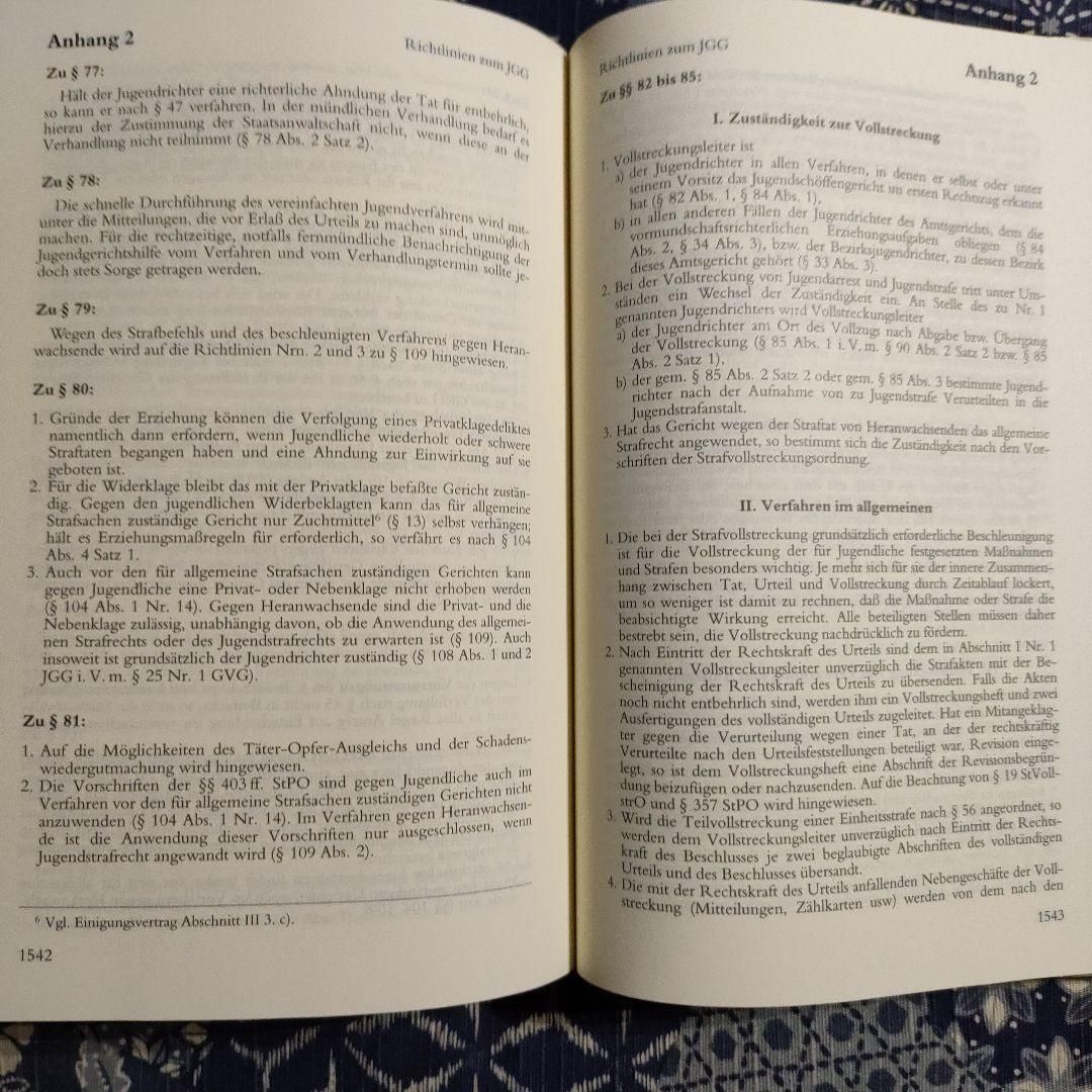 少年裁判所法　ドイツ語 Jugendgerichts-gesetz