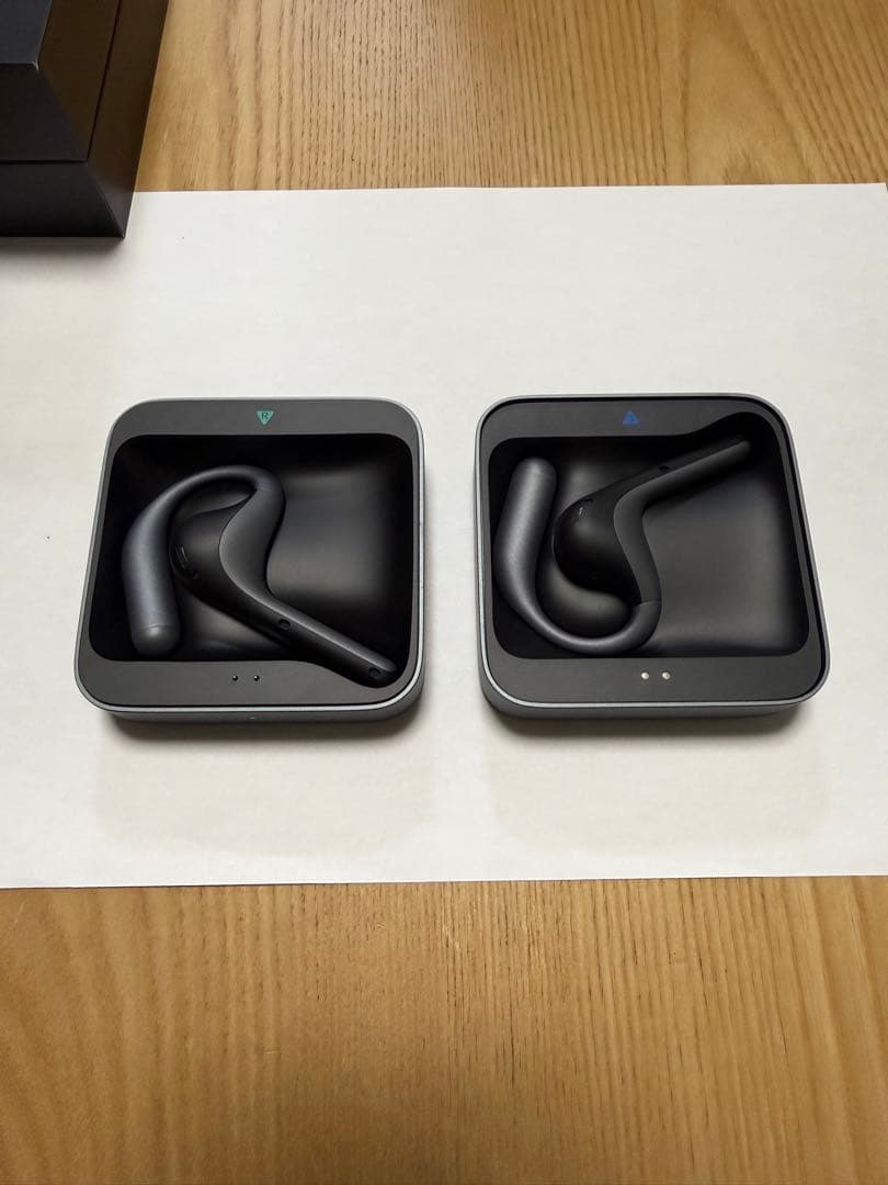 Timekettle W4 Pro AI翻訳イヤホン