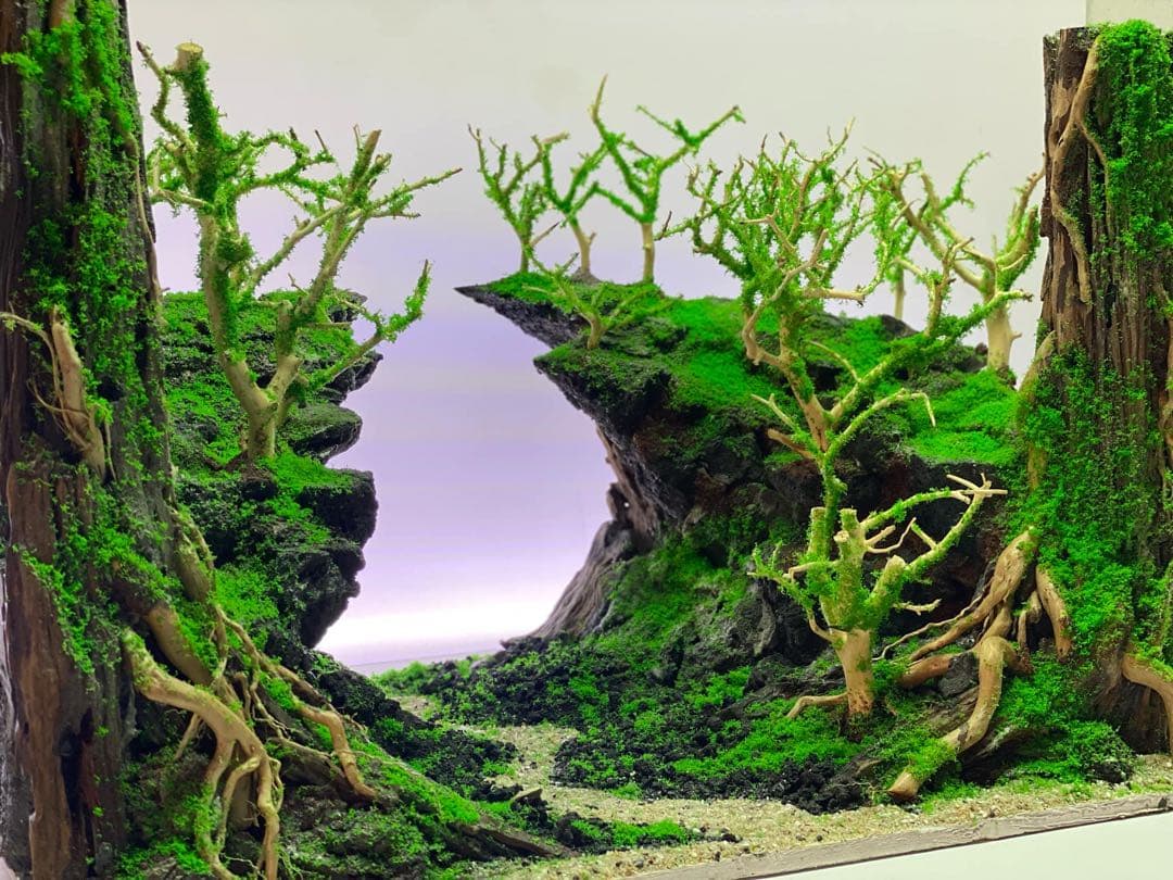 【在庫処分　半額OFF】自然美水景レイアウト – メンテナンス不要で常に緑豊か！