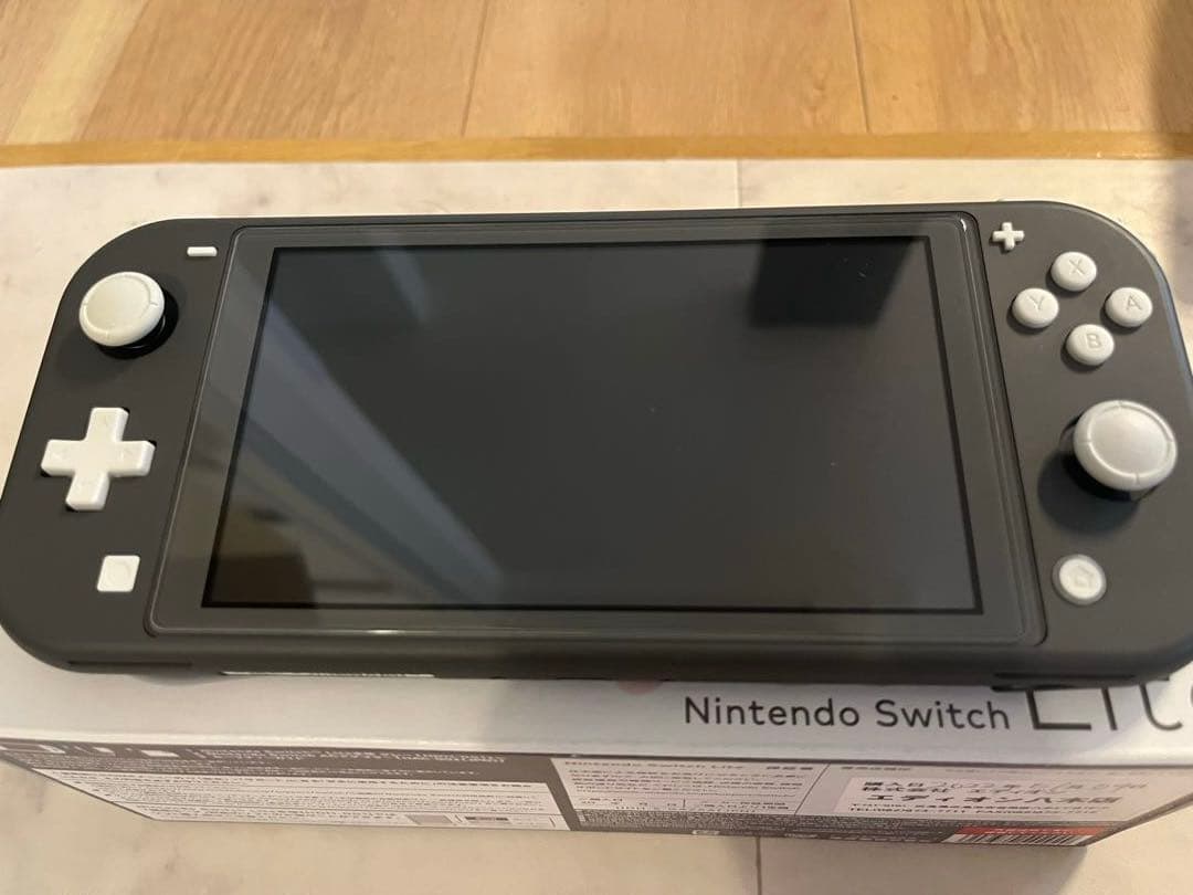 Nintendo Switch Lite グレー 箱、収納ケース付き
