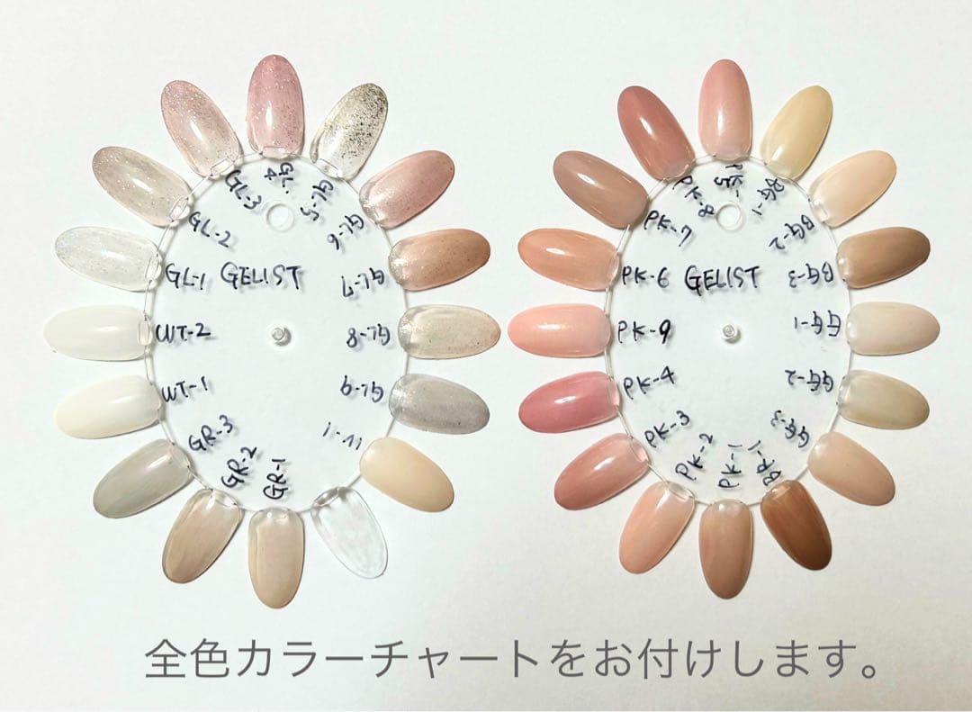 ジェリスト パケットカラージェル 全色セット オマケたくさん✨️