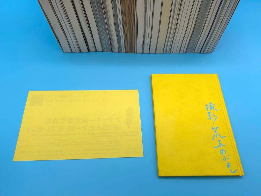 林*ダ様 荒木経惟写真全集 全20巻　「さっちんとマー坊」 全て初版