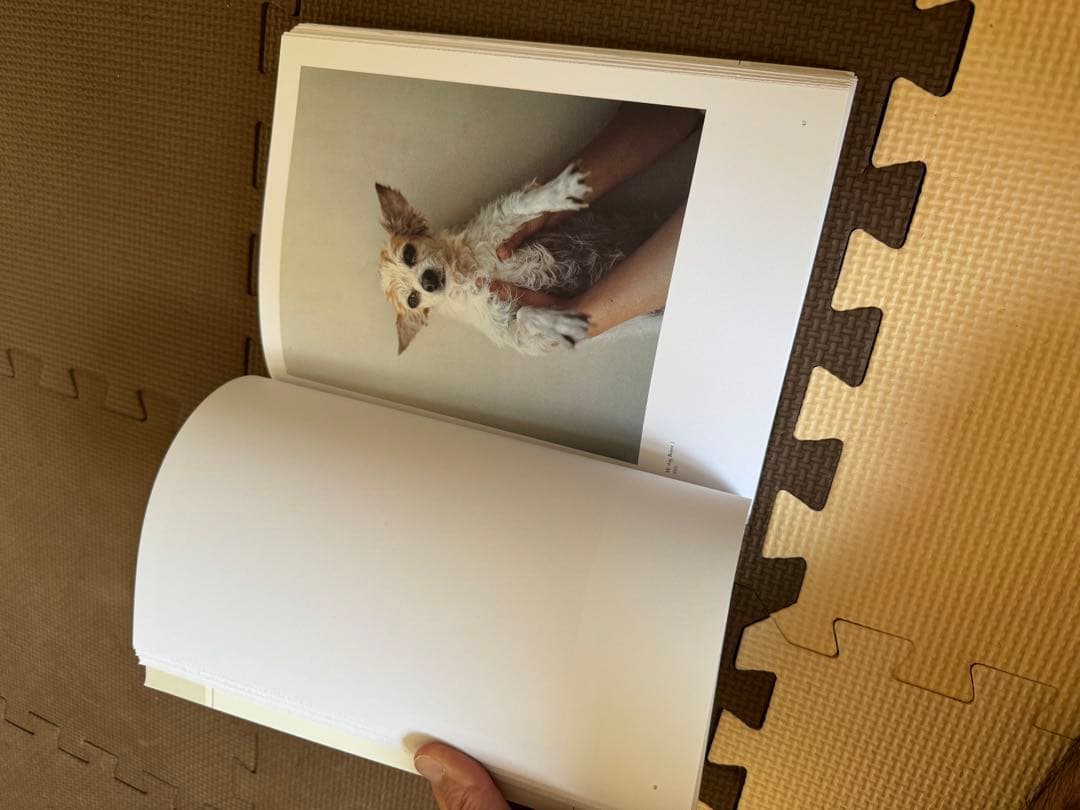 アート・デザイン・音楽 TAKASHI HOMMA TOKYO