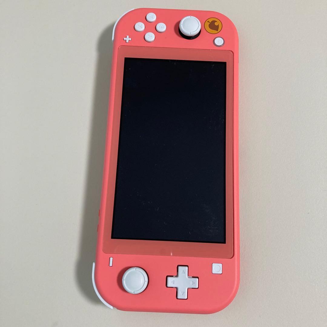 Nintendo Swicth lite 本体&充電器　ダウンロードソフト非付属