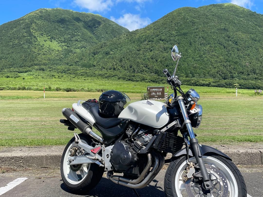 WR'S カーボンファイバー マフラー スリムタイプ