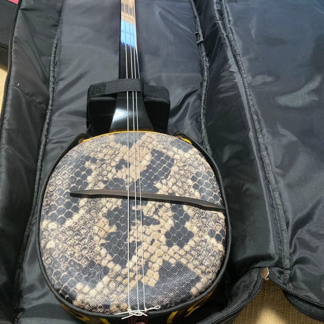 三線 DVD付き スターターセット 沖縄本島柄人工革