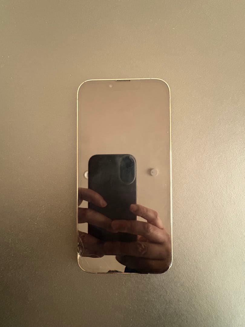 Apple iPhone 13 Pro アルパイングリーン 256GB