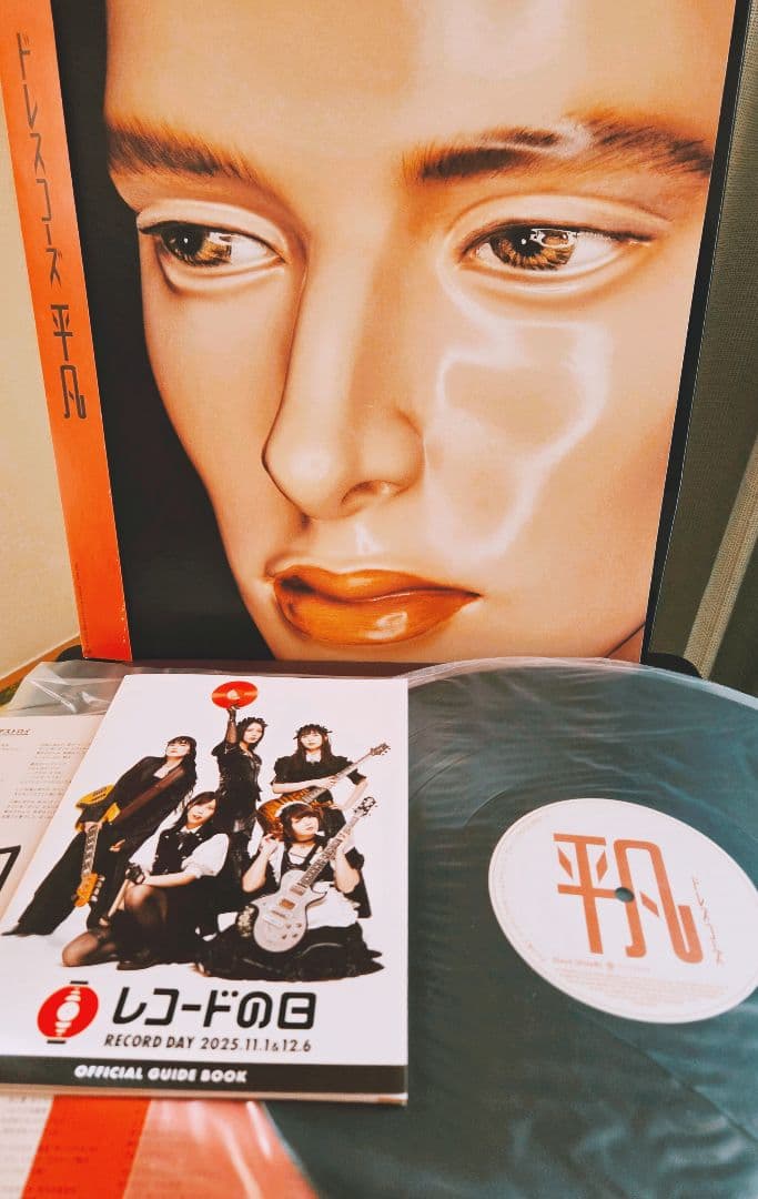 ひ*ん様 サイン入り!帯付き!ドレスコーズ　平凡　インサート付き!アナログ!オマ