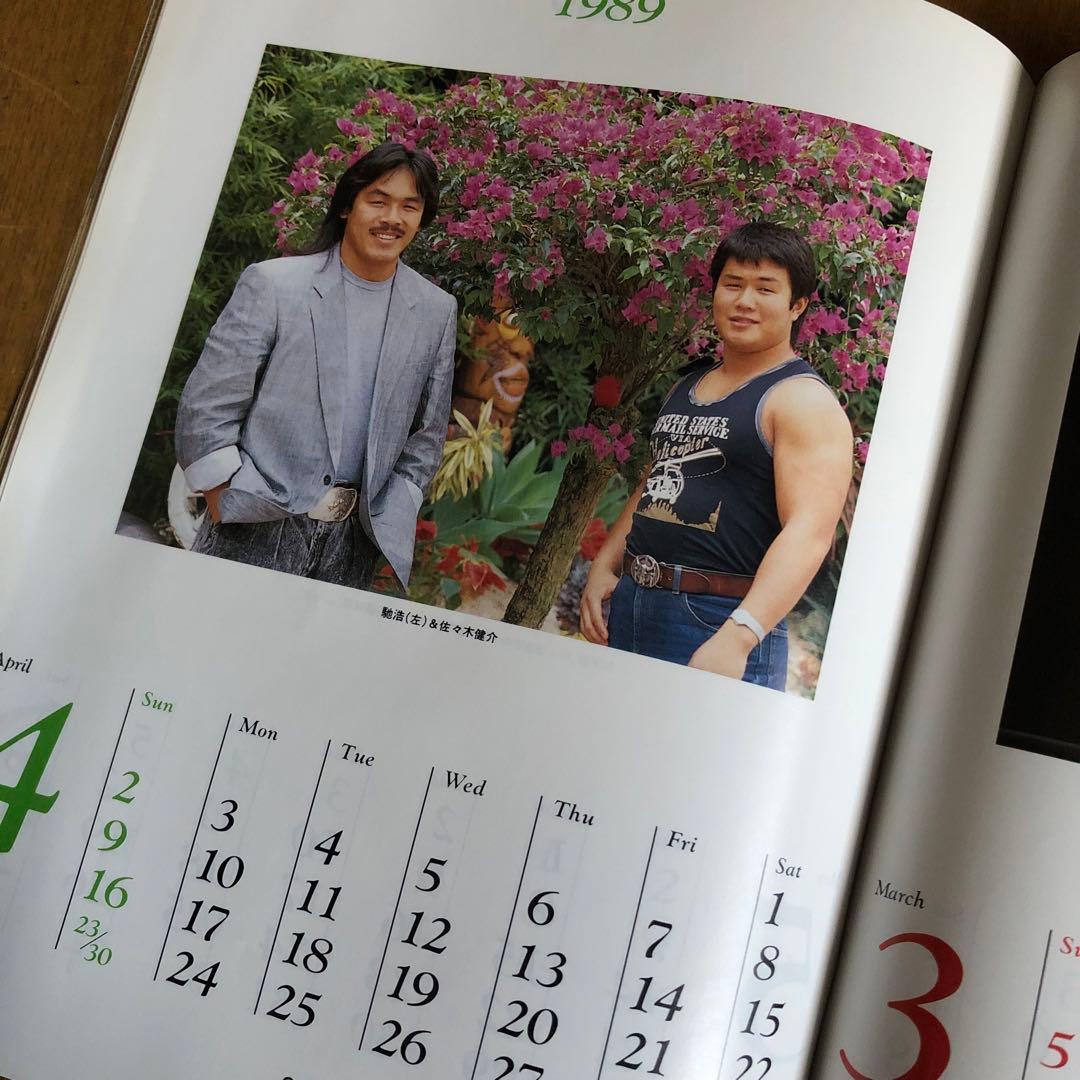 週間プロレス100冊　熱く激しくそして胡散臭い、プロレスがドラマだった時代の記録