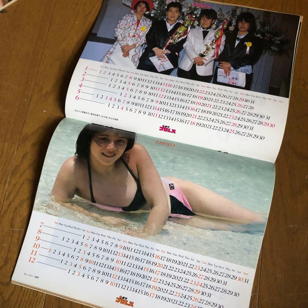 週間プロレス100冊　熱く激しくそして胡散臭い、プロレスがドラマだった時代の記録