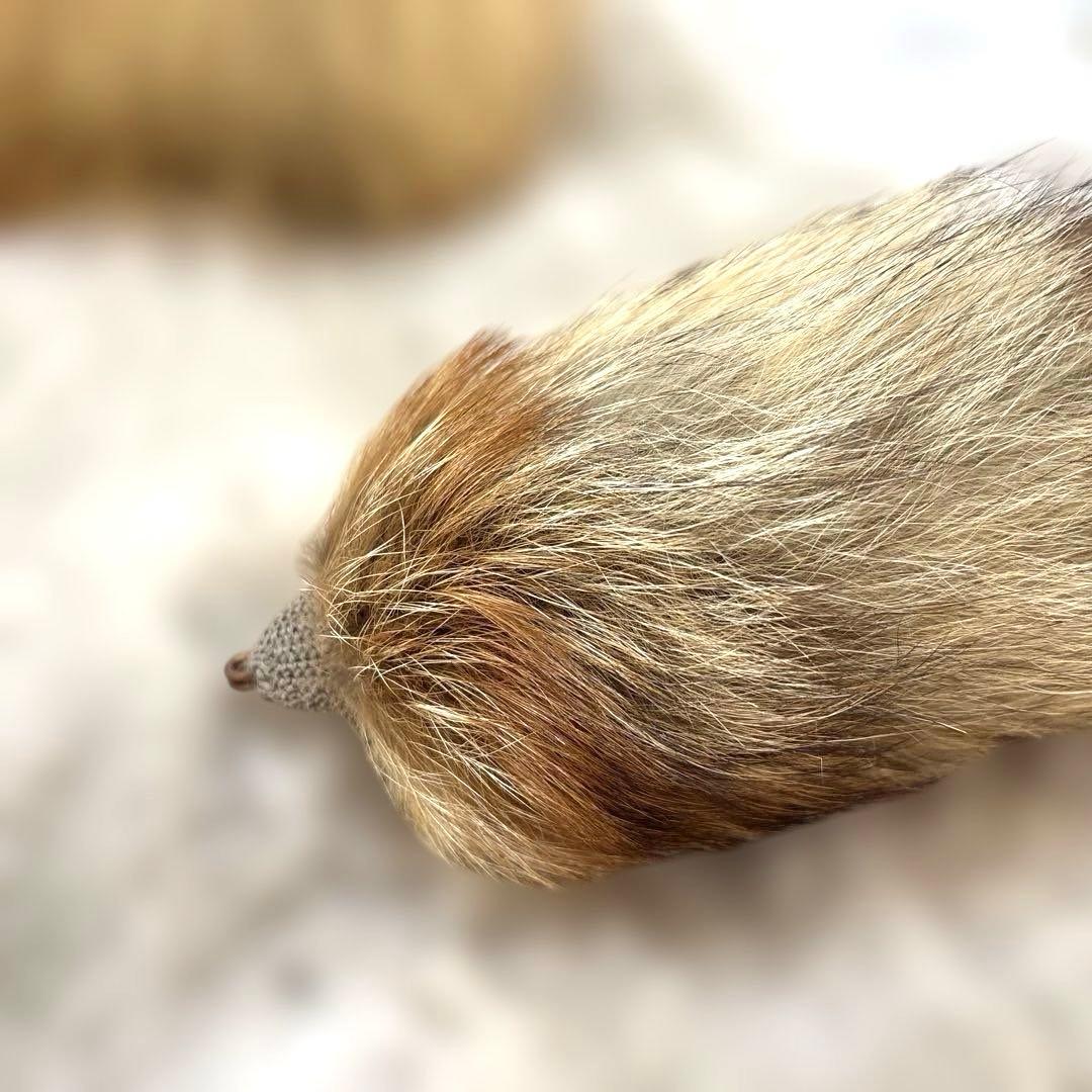 本*二様 【新品未使用】キタキツネの尻尾付き帽子 (リアルファー)