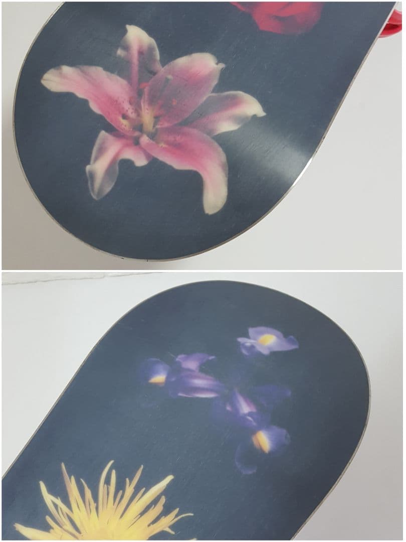 ROME SDS レディース スノーボード HEIST バイン サロモン リズム