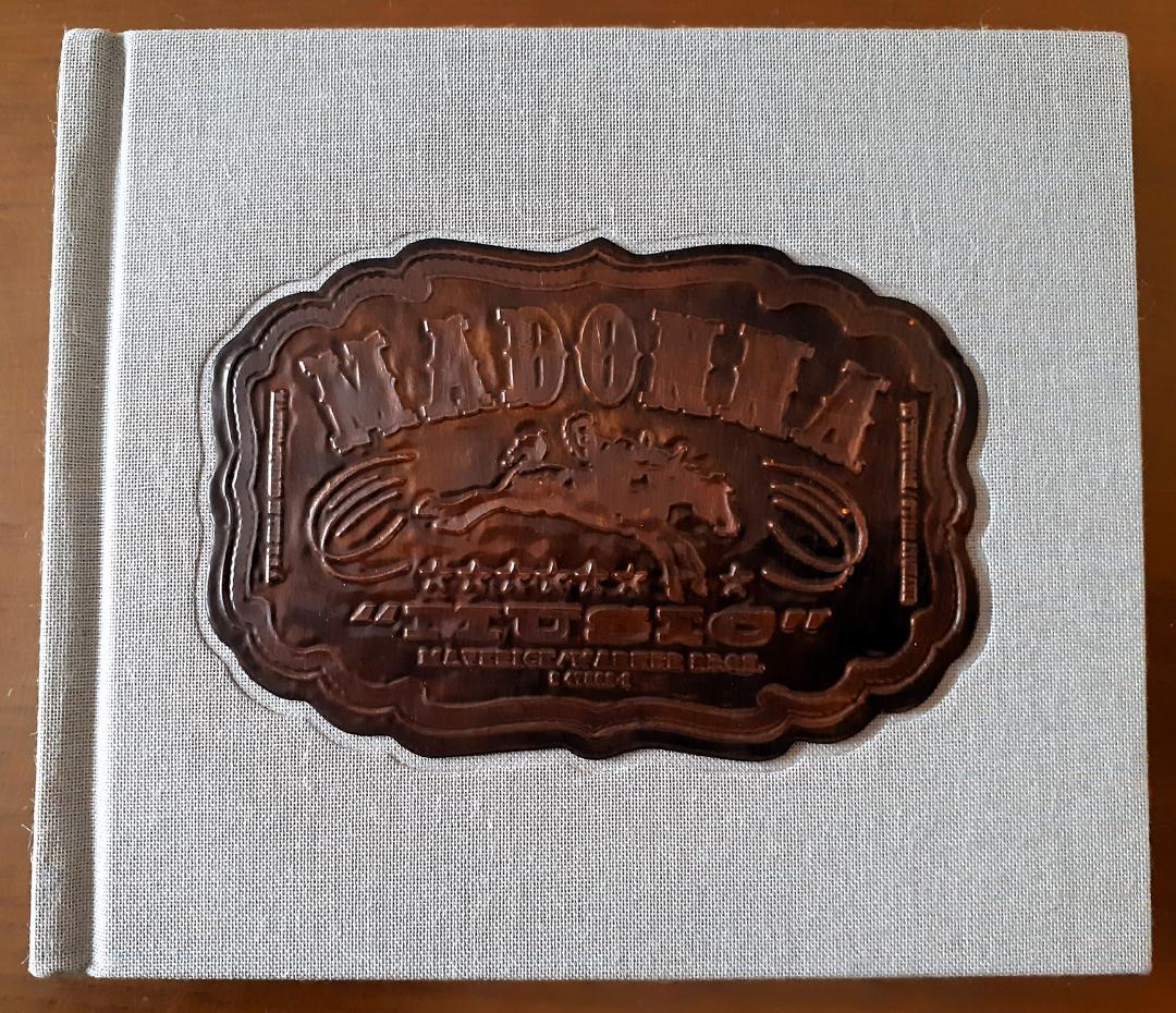 マドンナ　MUSIC　限定盤 US盤 特殊パッケージ仕様CDアルバム グレー版