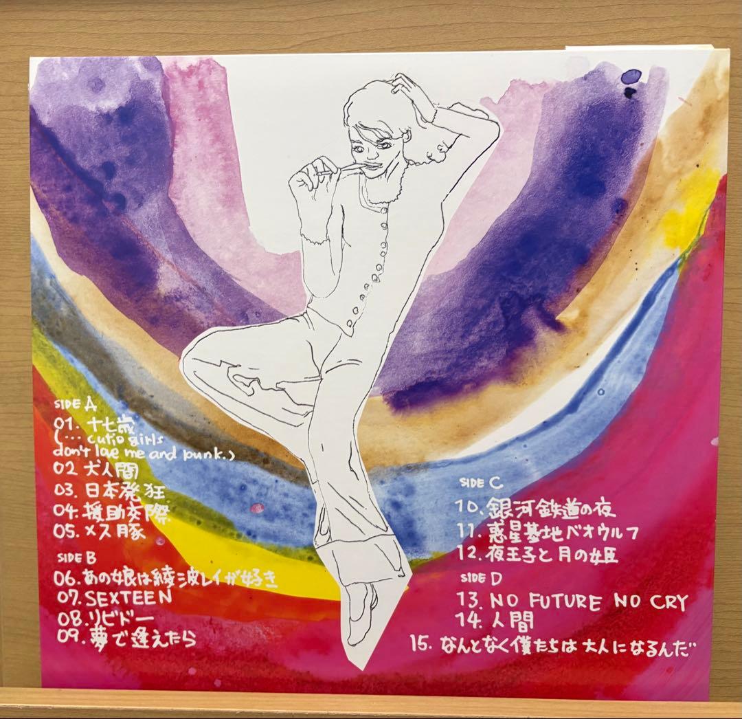 銀杏BOYZ / DOOR LP レコード