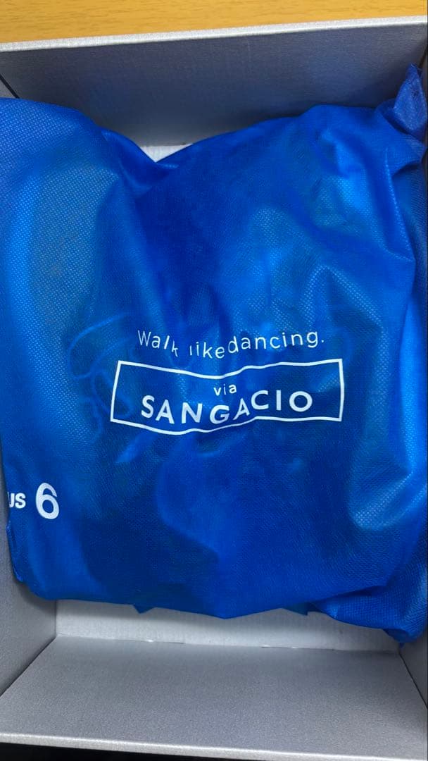 新品未使用　箱付　SANGACIO　にゅ　限定10周年記念モデル　スニーカー