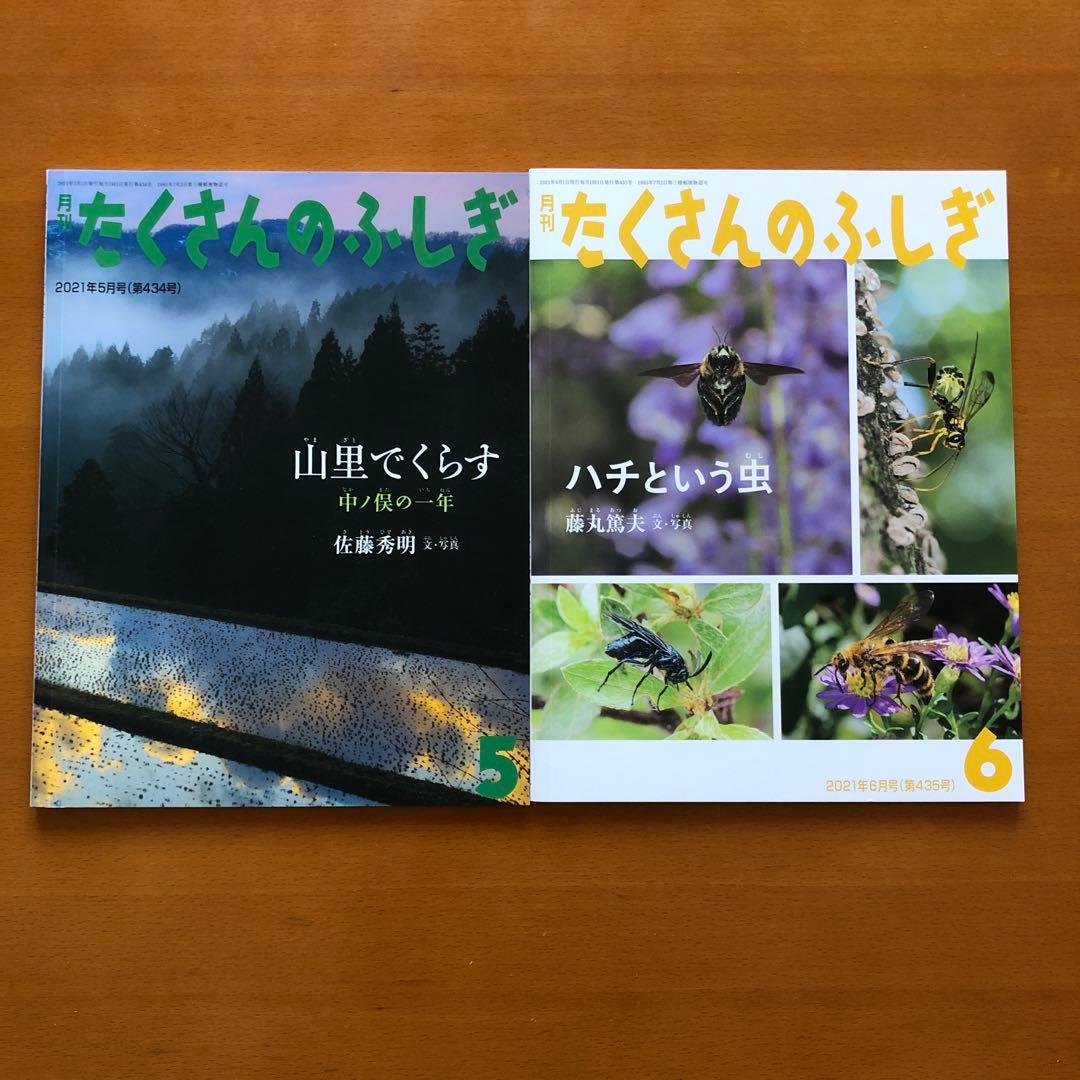 月刊たくさんのふしぎ2022年