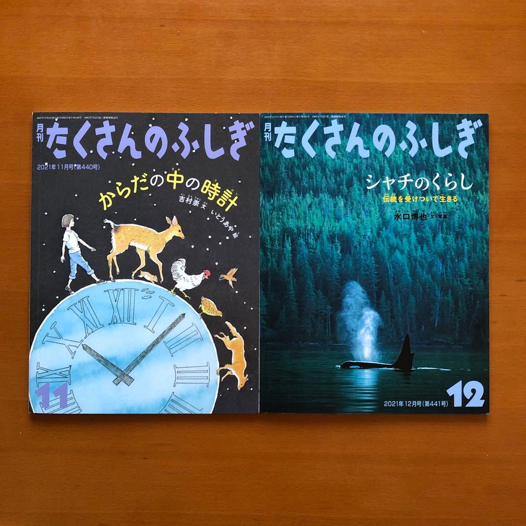 月刊たくさんのふしぎ2022年