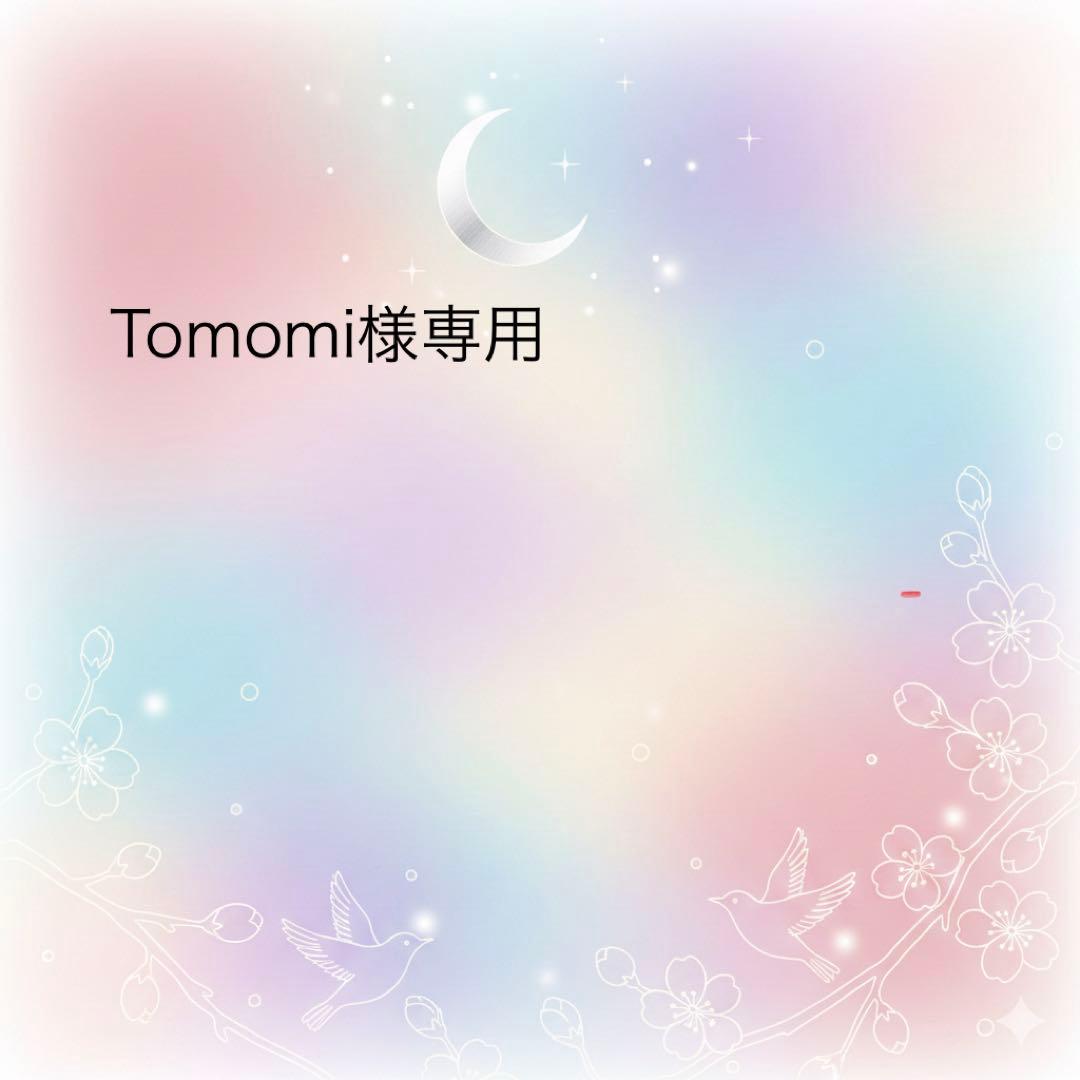 Tomomiさま専用ページ