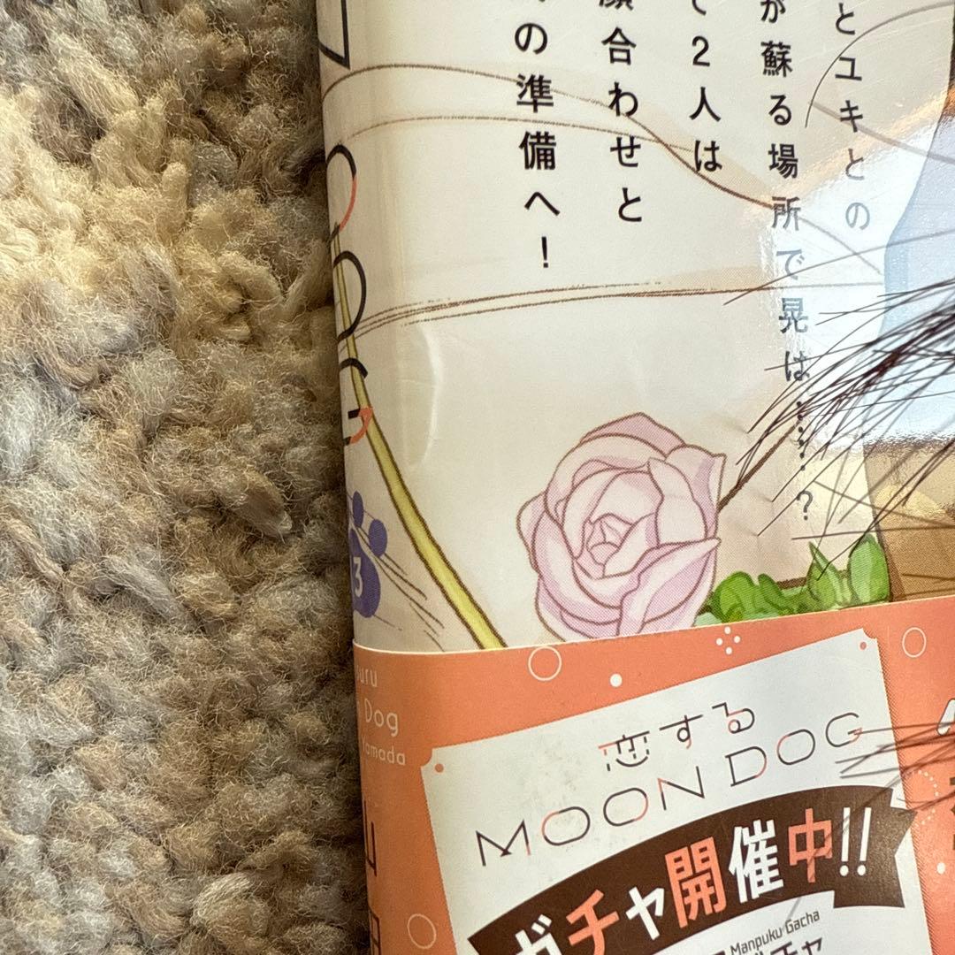 漫画　恋するMOON DOG 全巻セット