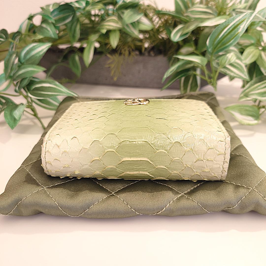 【希少】GUCCI グッチ パイソン ２つ折り コンパクトウォレット グリーン系