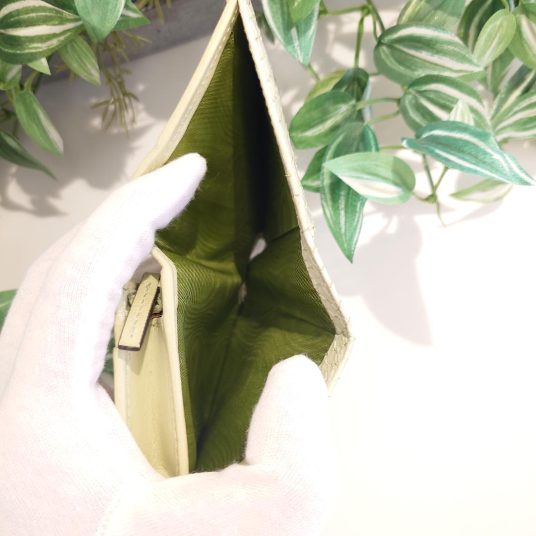 【希少】GUCCI グッチ パイソン ２つ折り コンパクトウォレット グリーン系