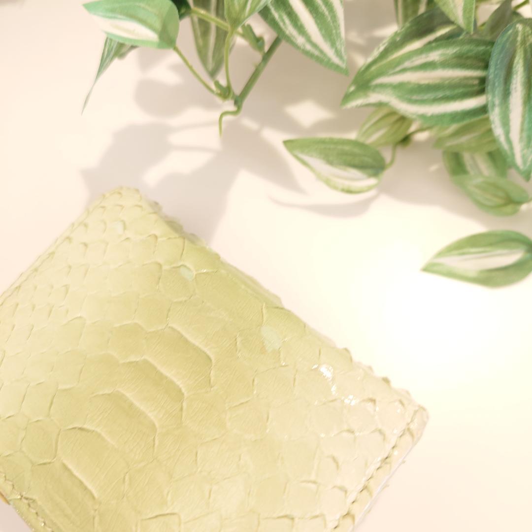 【希少】GUCCI グッチ パイソン ２つ折り コンパクトウォレット グリーン系