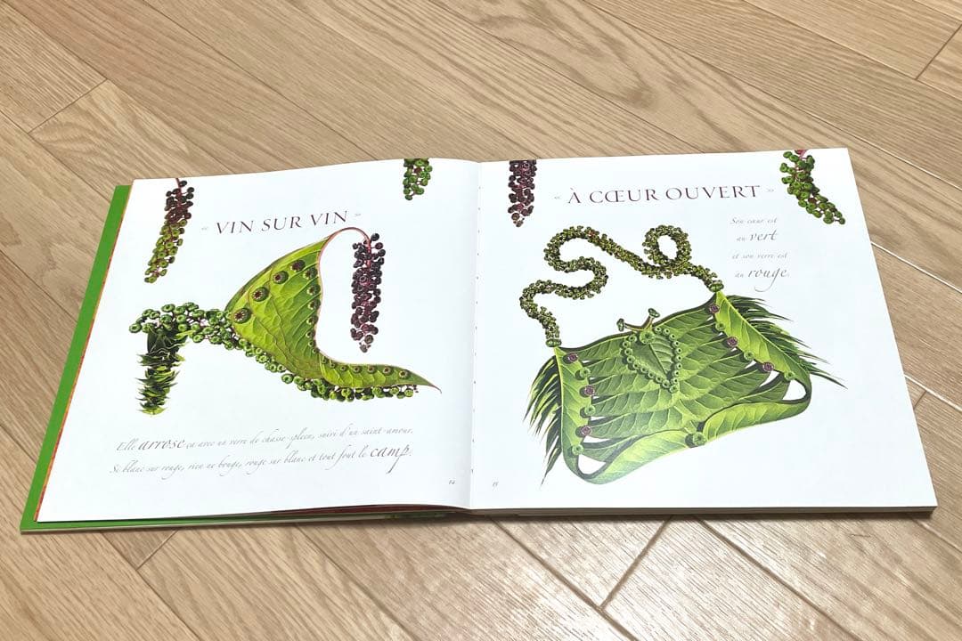 花束・植物 シューズ・鞄 洋書写真集 Bouquets de souliers