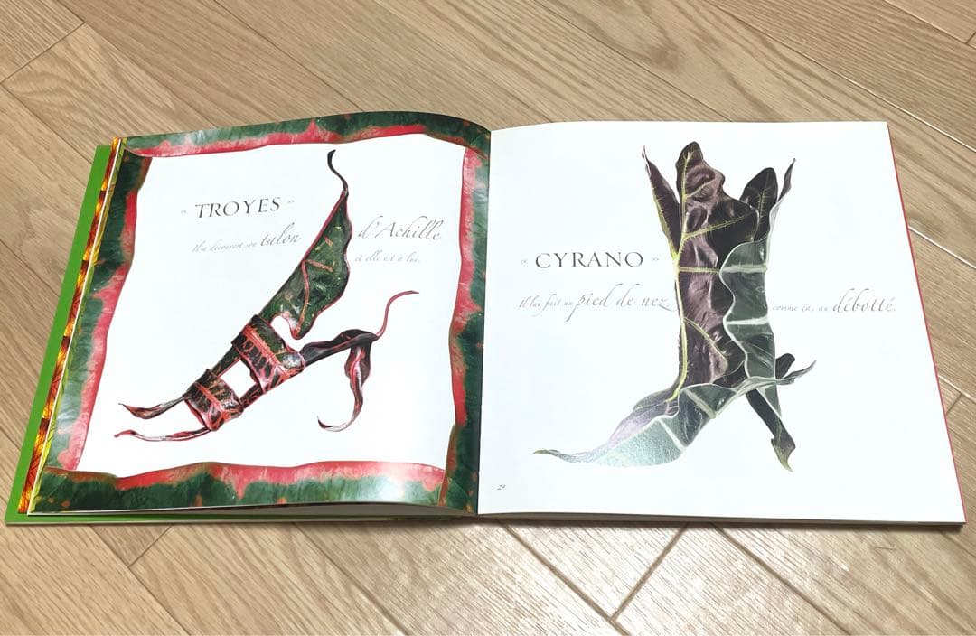 花束・植物 シューズ・鞄 洋書写真集 Bouquets de souliers