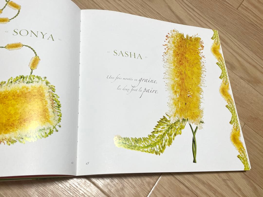 花束・植物 シューズ・鞄 洋書写真集 Bouquets de souliers
