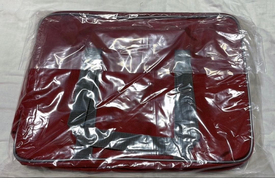 旧型　ワールドペガサス　赤　ワッペ　スクバ