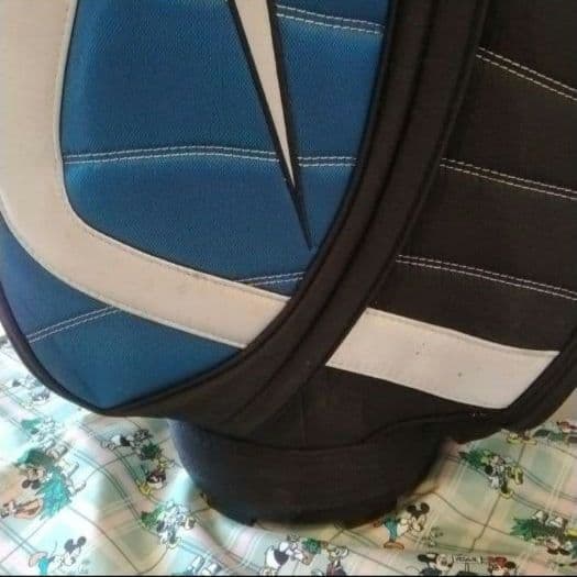 ナイキ　Nike キャディバッグ　ウィルソン　ゴルフクラブ 13本付　セット