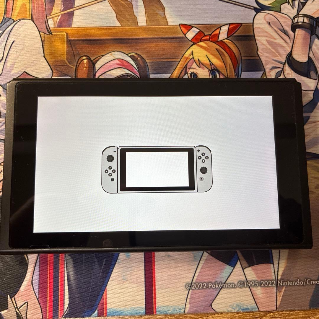 Nintendo Switch 付属品全品付き