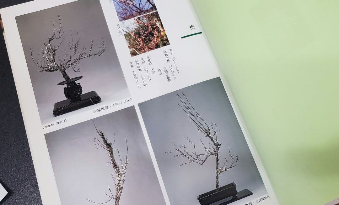 ☆早い者勝ち☆ 作例、文献付 生花格花花材事典 講談社