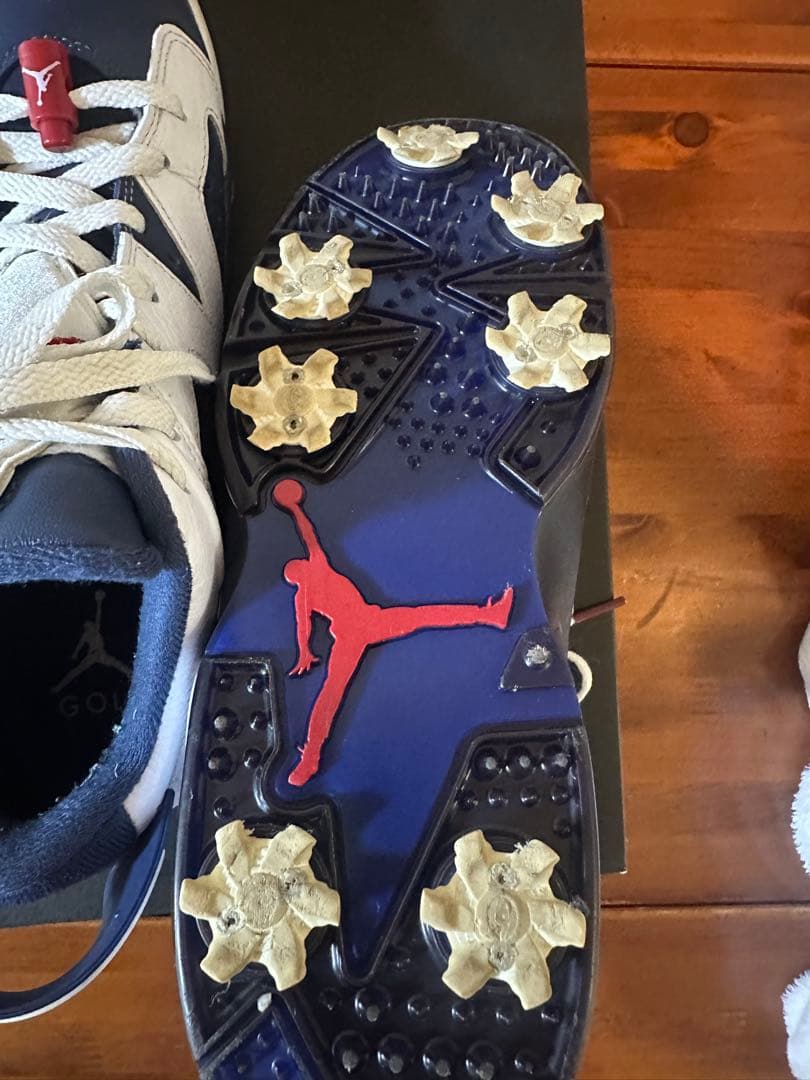 ジョーダンレトロ6G NIKE ゴルフシューズ26㎝