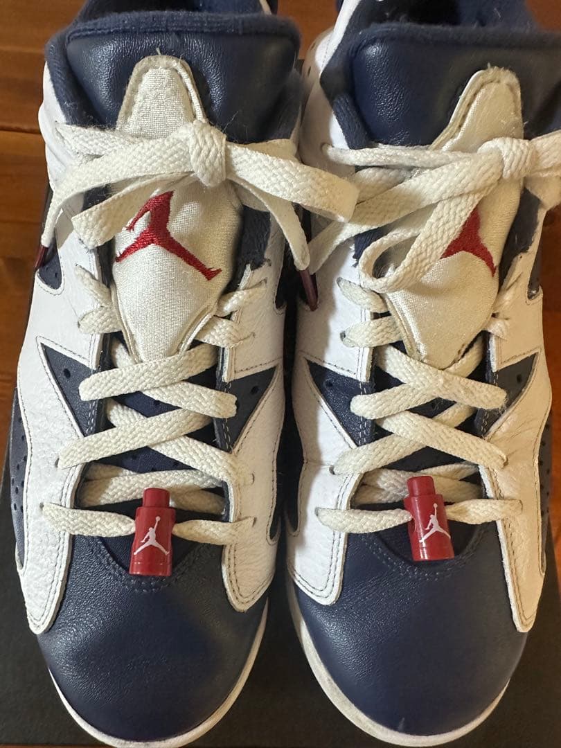 ジョーダンレトロ6G NIKE ゴルフシューズ26㎝