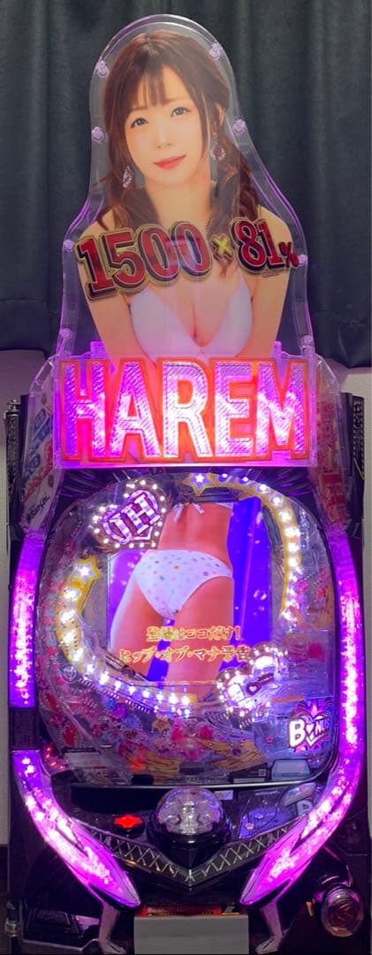 ジューシーハニーハーレム フルオート 循環仕様 家庭用電源