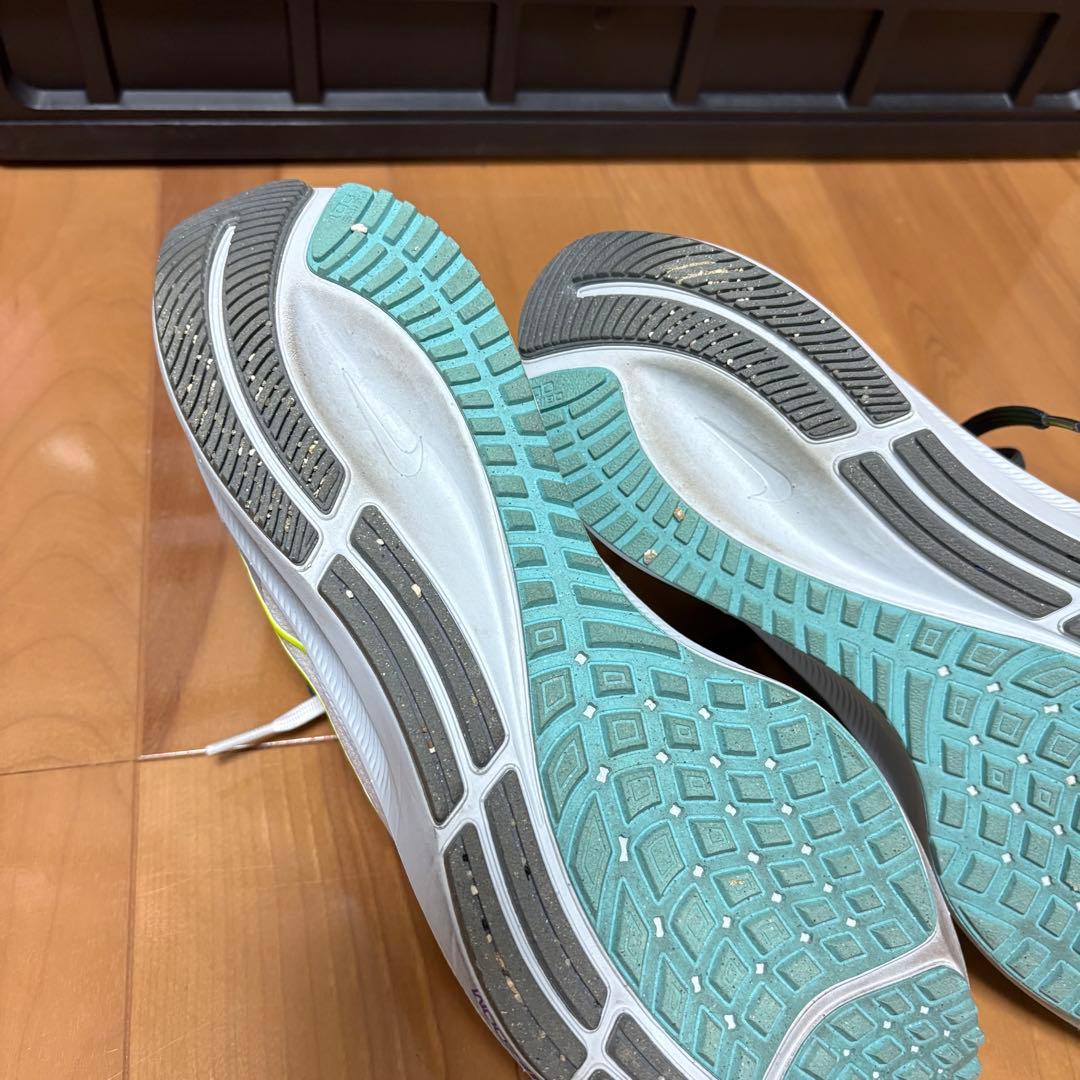 ズームペガサス