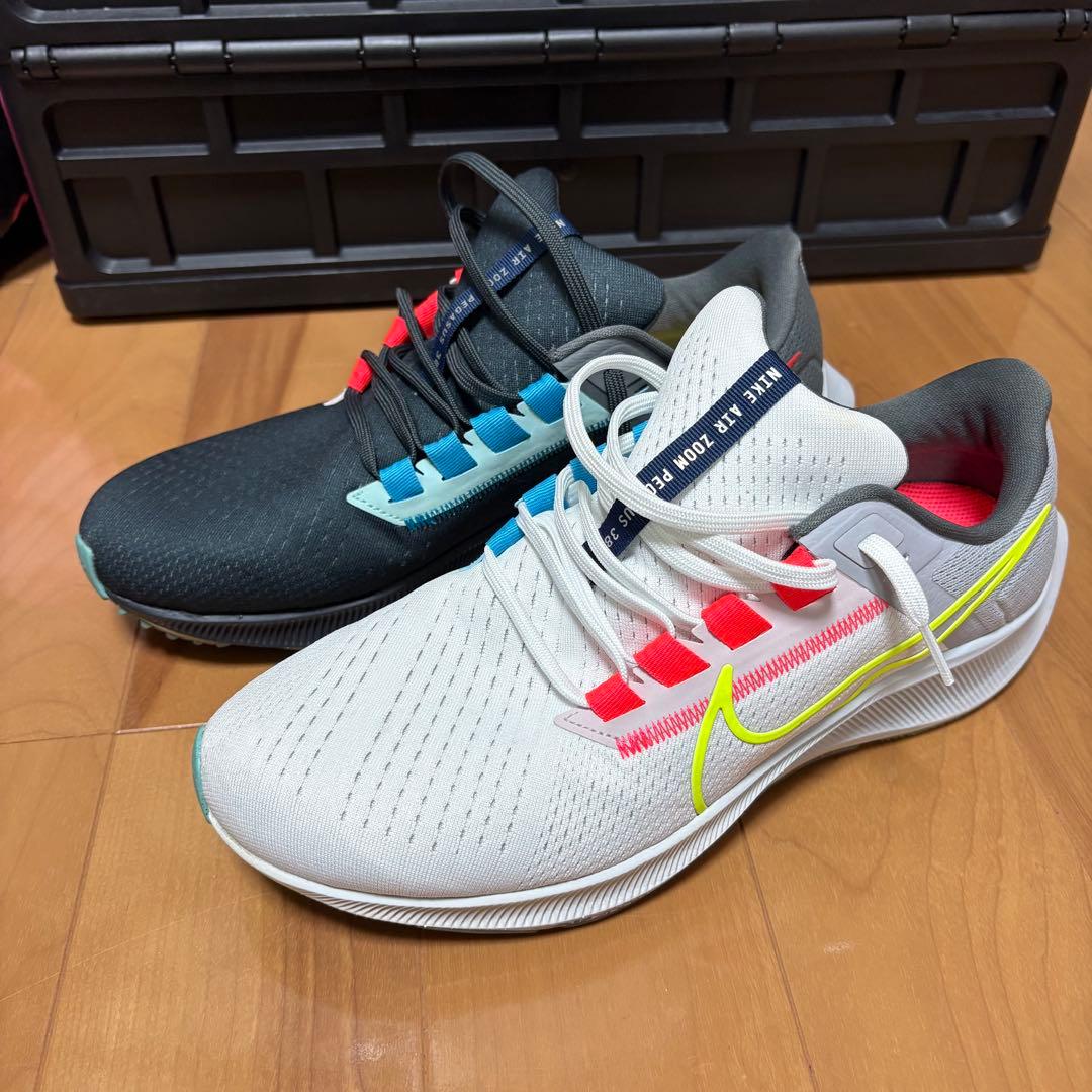 ズームペガサス