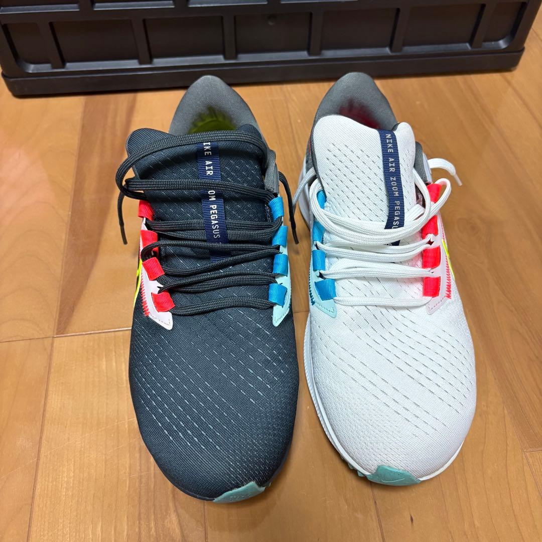 ズームペガサス