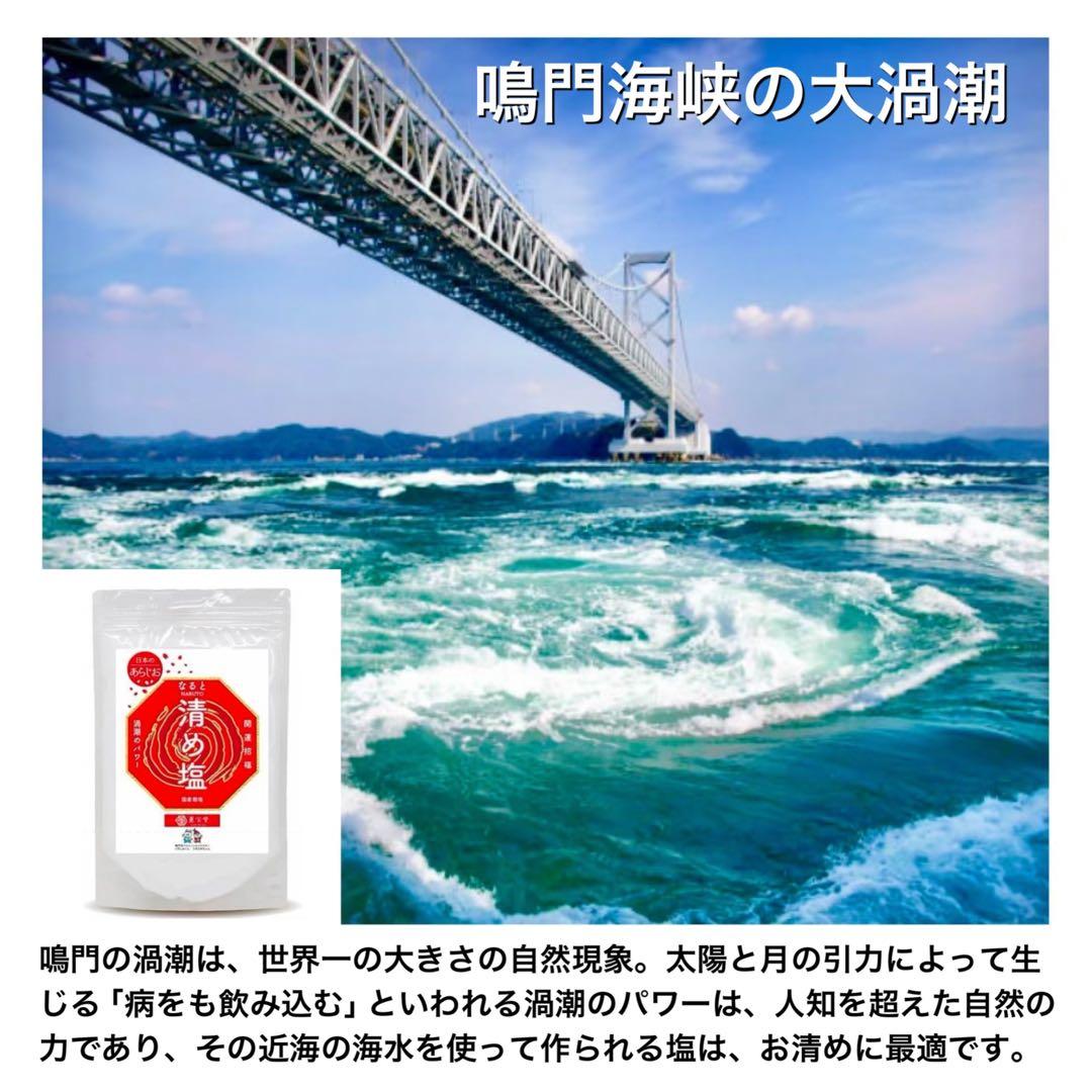 ✤Fuutan✤30日~5日発送休み インカローズ4個 特大盛り塩 4個