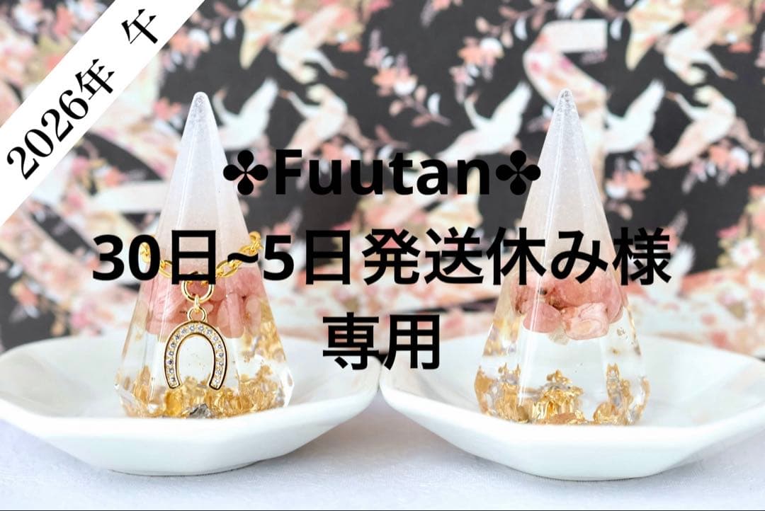 ✤Fuutan✤30日~5日発送休み インカローズ4個 特大盛り塩 4個