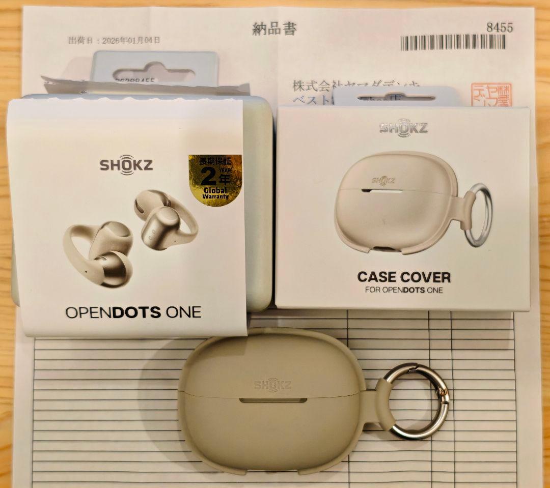 【納品書付き】 Shokz OPENDOTS ONE グレー 純正ケースカバー付